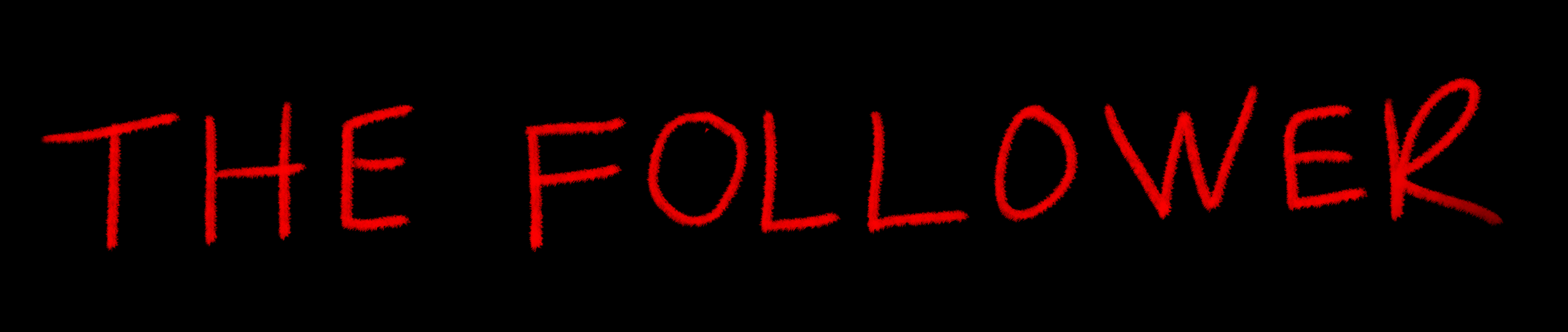 The Follower